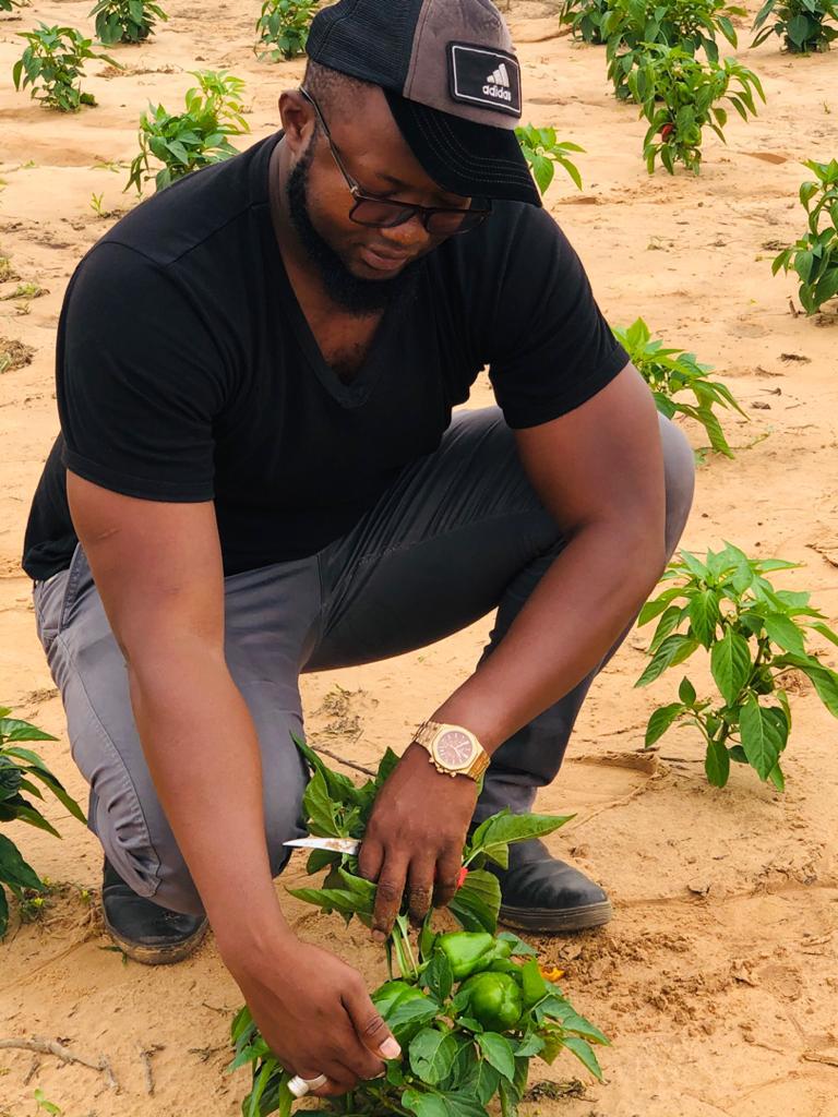 Pratiques agricoles durables